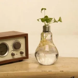 Gloeilamp Vaas (Set van 6)