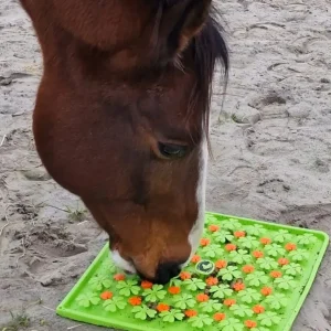 Excellent Horse Snuffel Mat