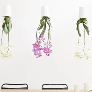 Sky Planter Recycled