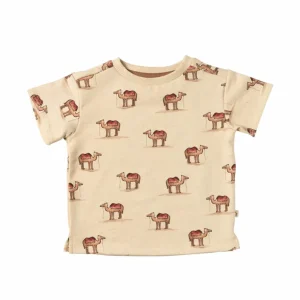 Perry Camels