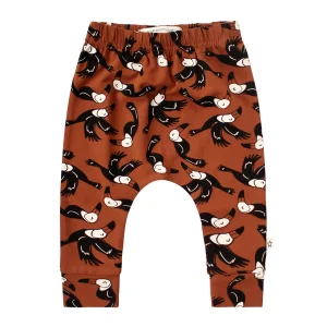 Toucans Baggy